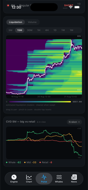 Pulse: liquidation map and whale versus retail flow
