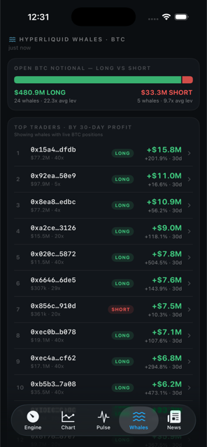 Whales: live positioning of the largest accounts
